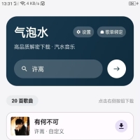 汽水的歌曲下载器（气泡水v1.01)