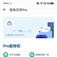 白嫖流舟文件Pro会员4.20