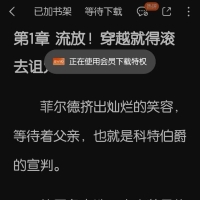 番茄小说5.20