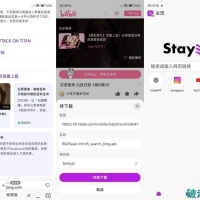 stay浏览器1.4.9资源嗅探无限制访问解锁会员版