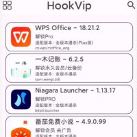 HookVip 软件vip解锁模块4.1.6